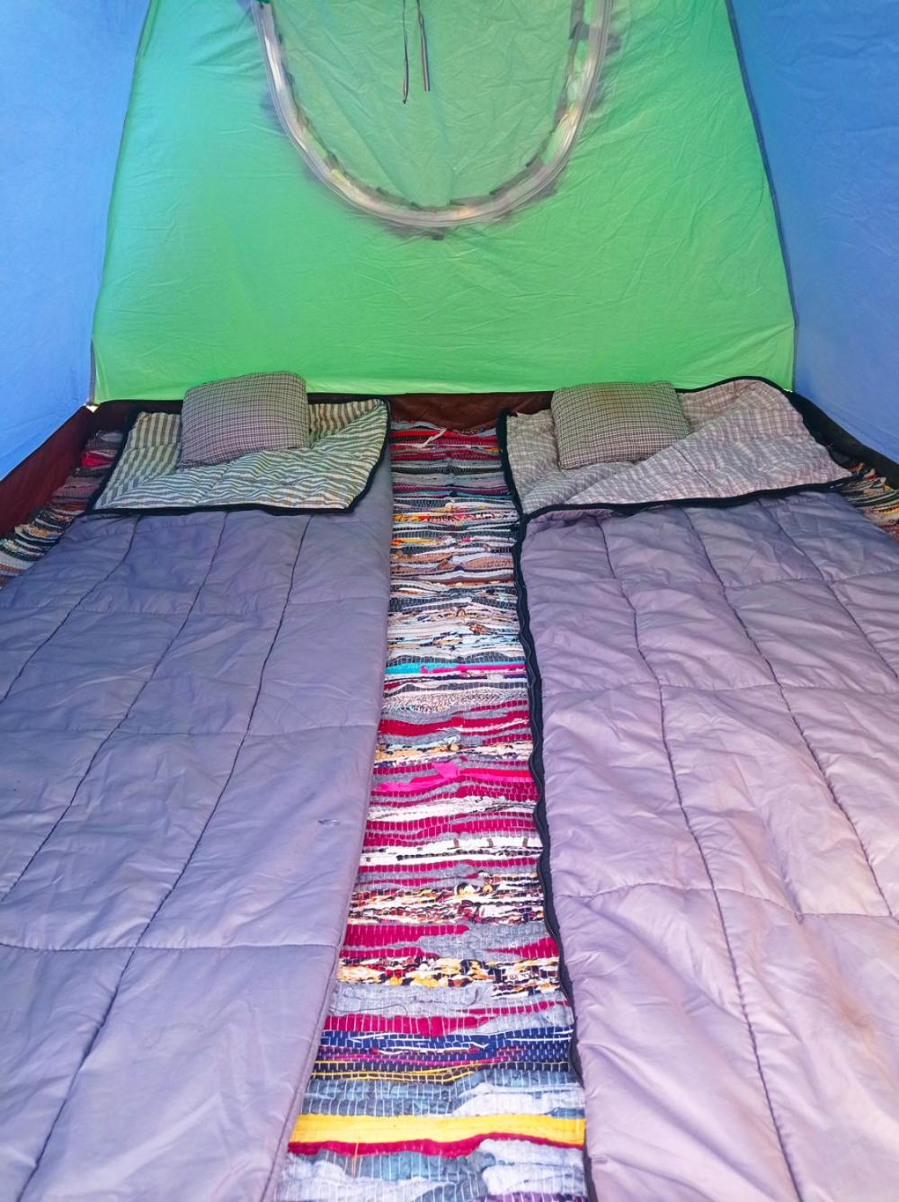 flamingo camp