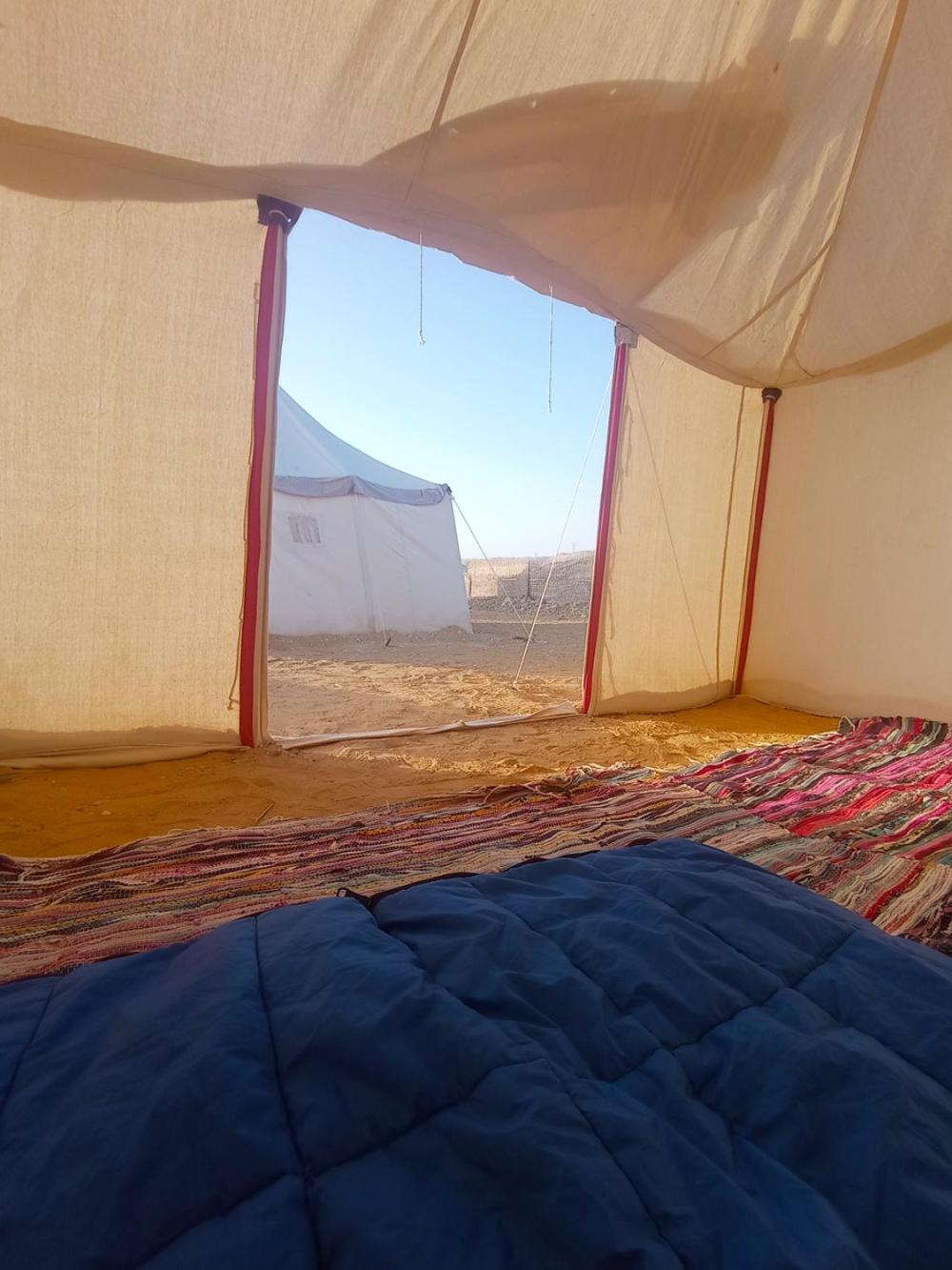 flamingo camp