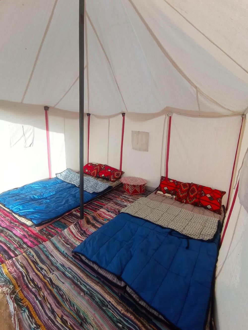 flamingo camp