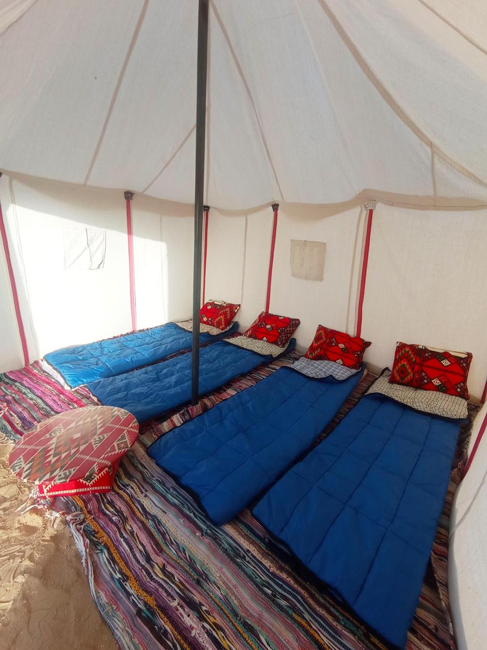 flamingo camp
