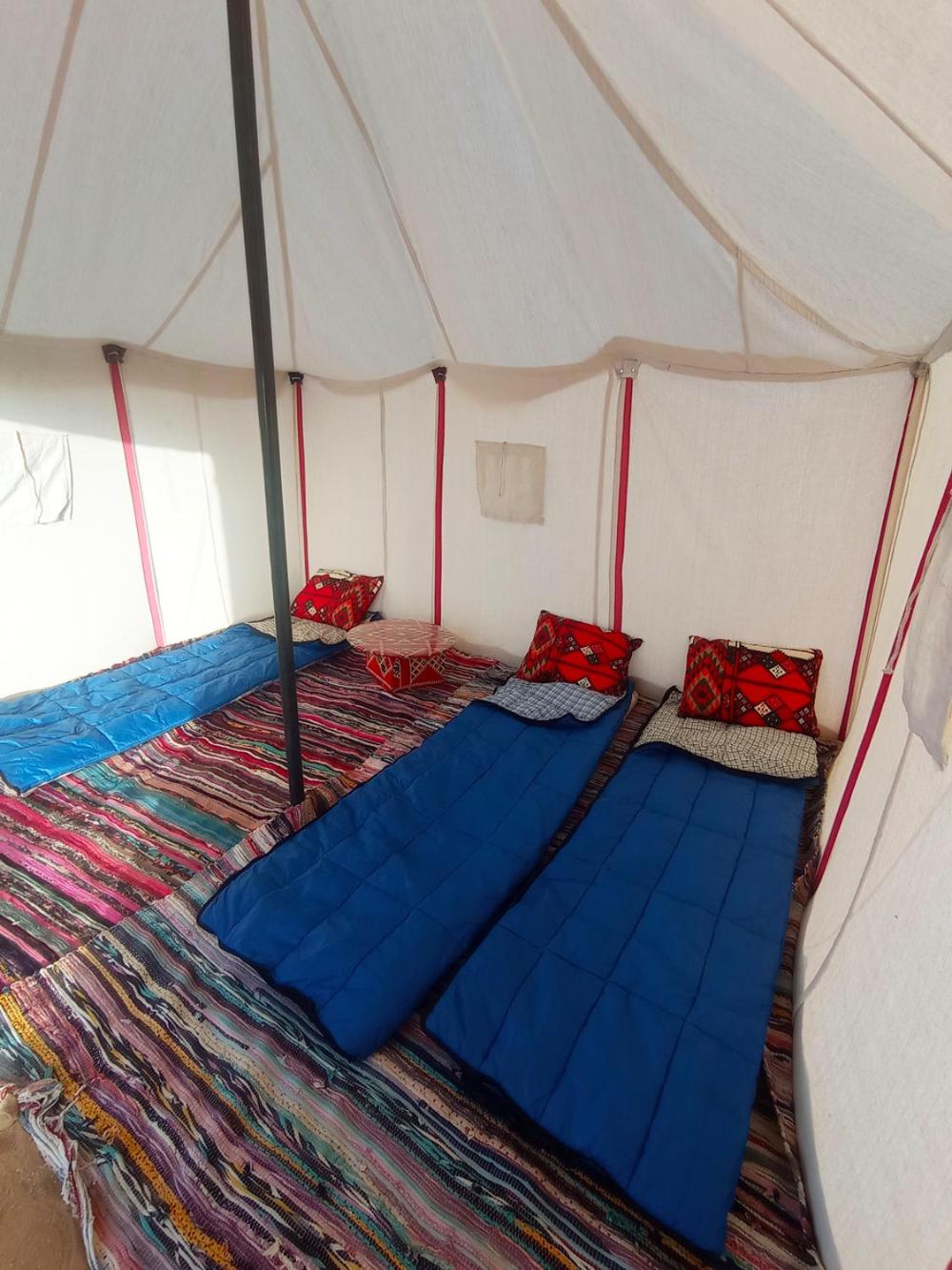 flamingo camp