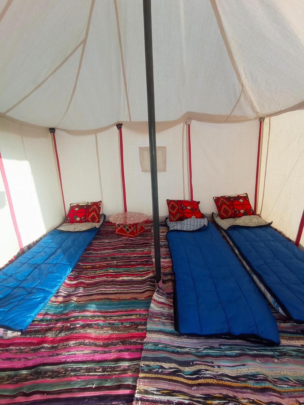 flamingo camp