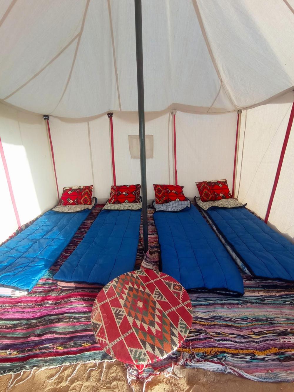flamingo camp