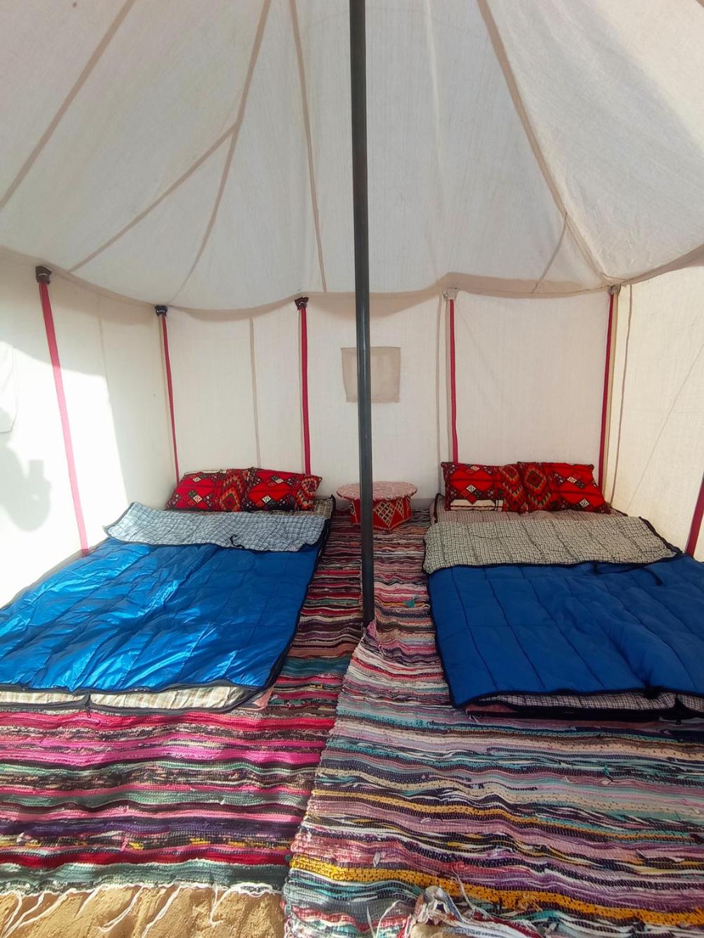 flamingo camp
