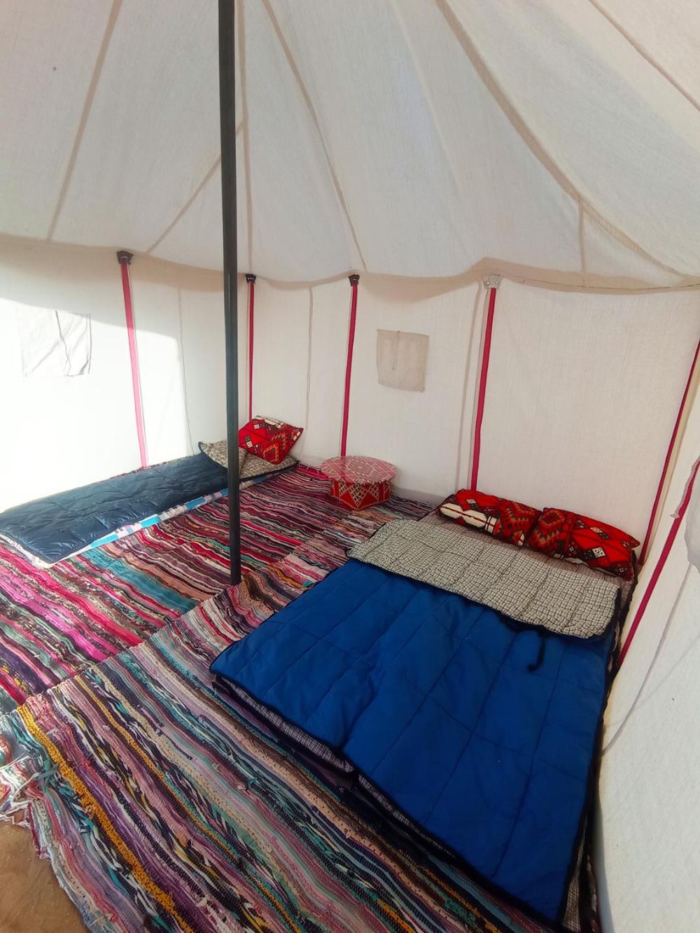 flamingo camp