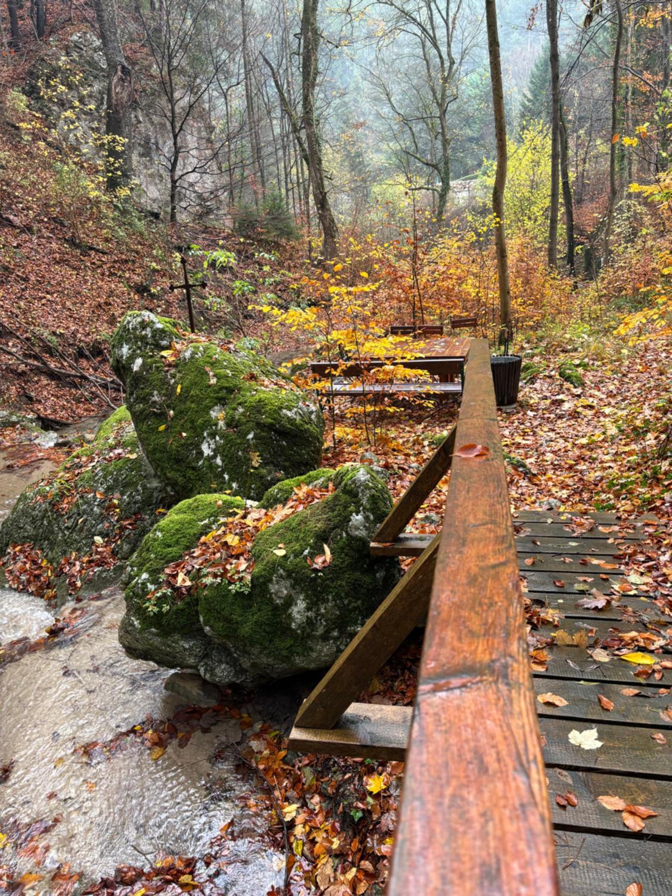 Ruhepol in den Voralpen