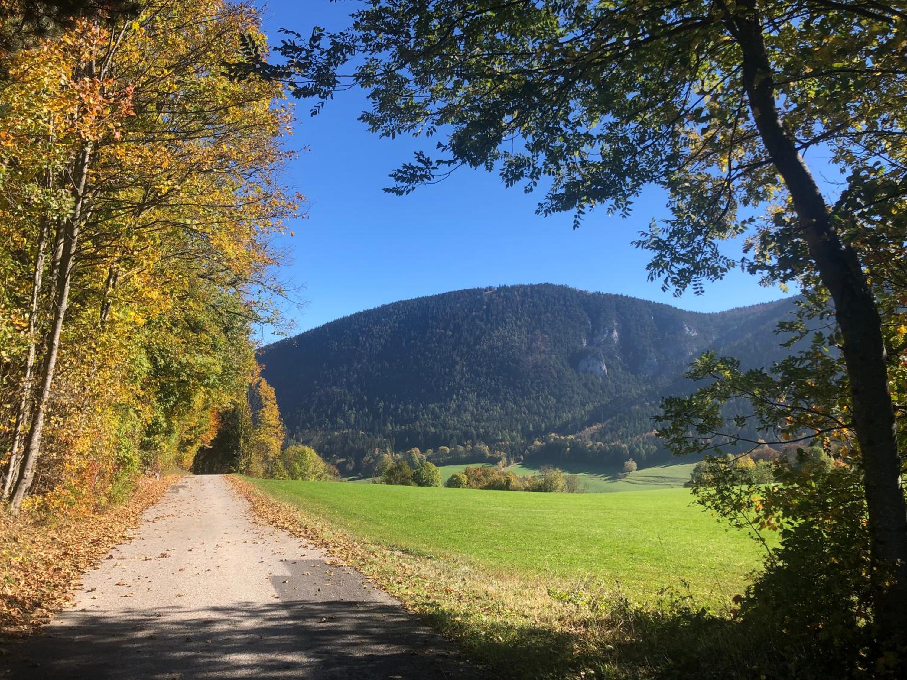 Ruhepol in den Voralpen