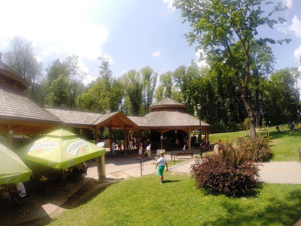 Photo 13