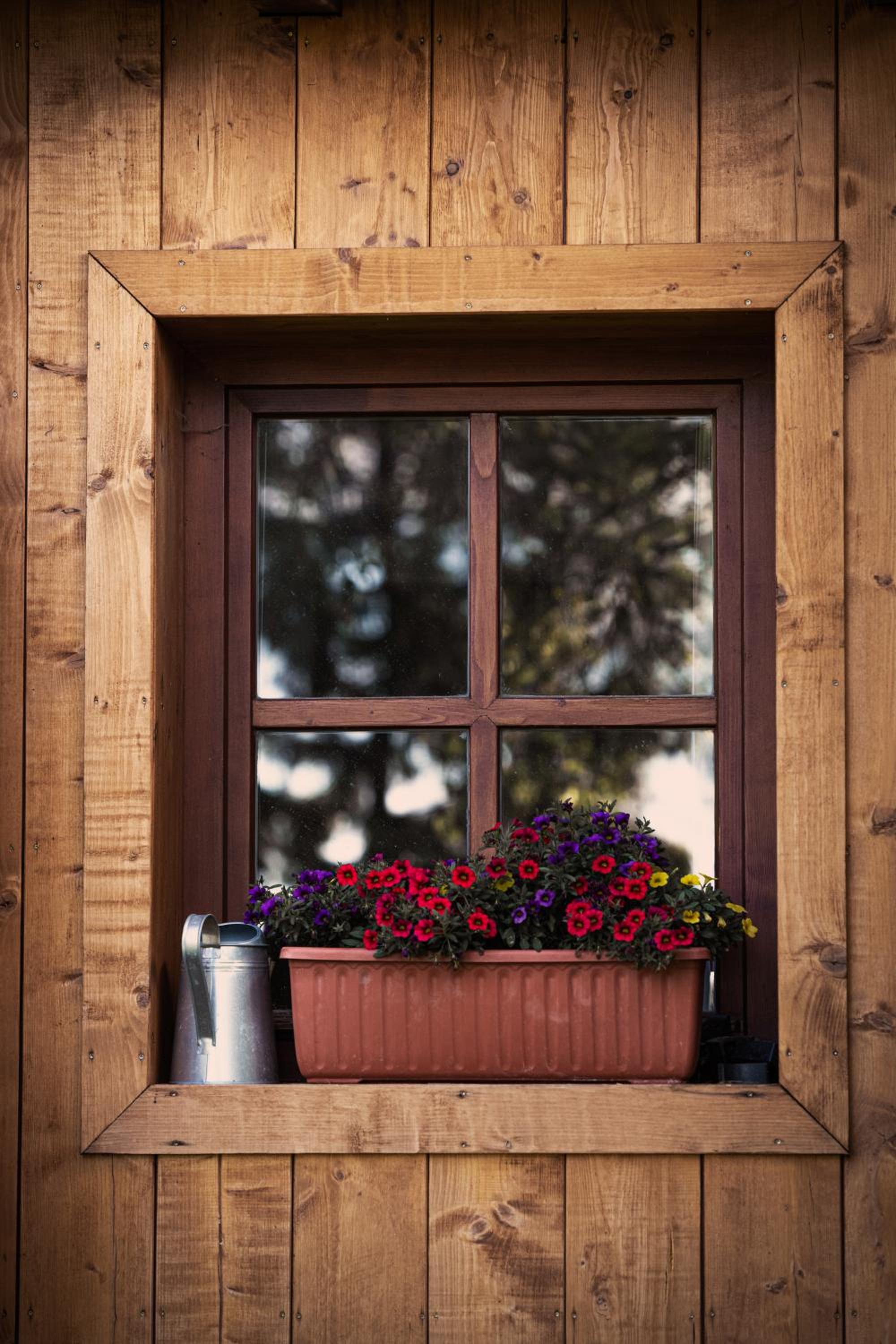 Apartmány Horský Dvůr