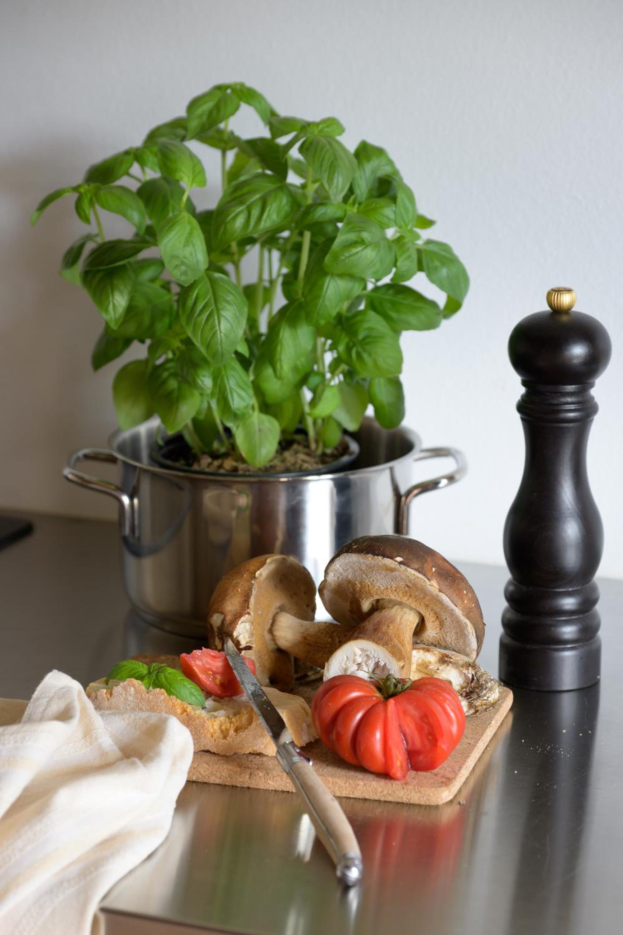 Nocellara Apartment, Pool, Nature, View , Montaione, Toscana photo 2