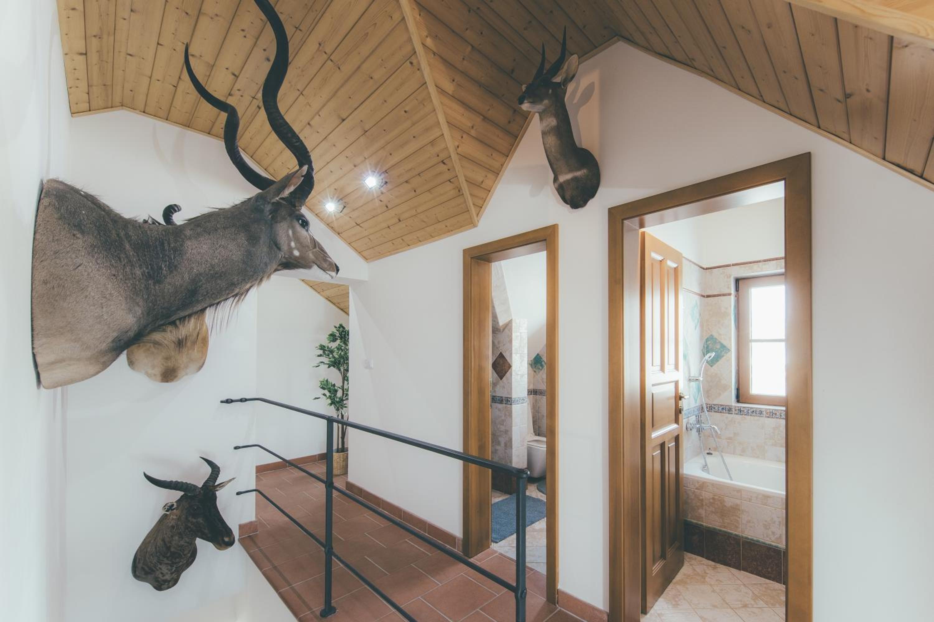 Stylová Lodge s vlastním koupáním & pergolou