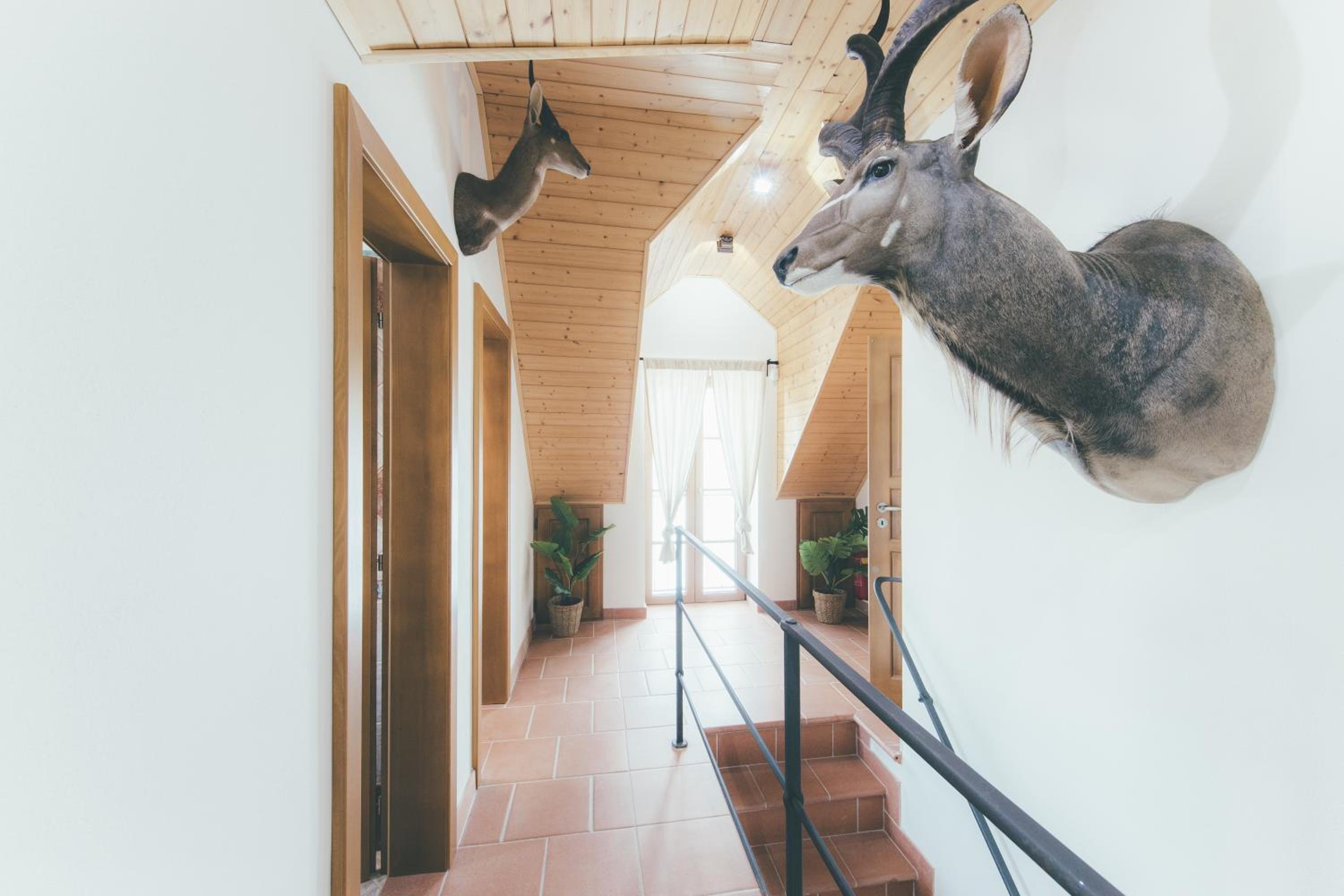 Stylová Lodge s vlastním koupáním & pergolou