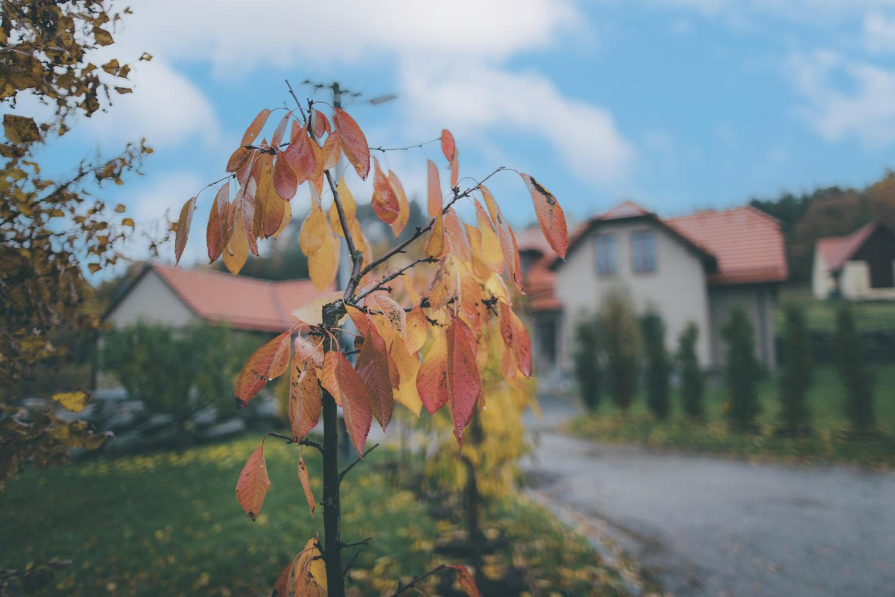 Stylová Lodge s vlastním koupáním & pergolou