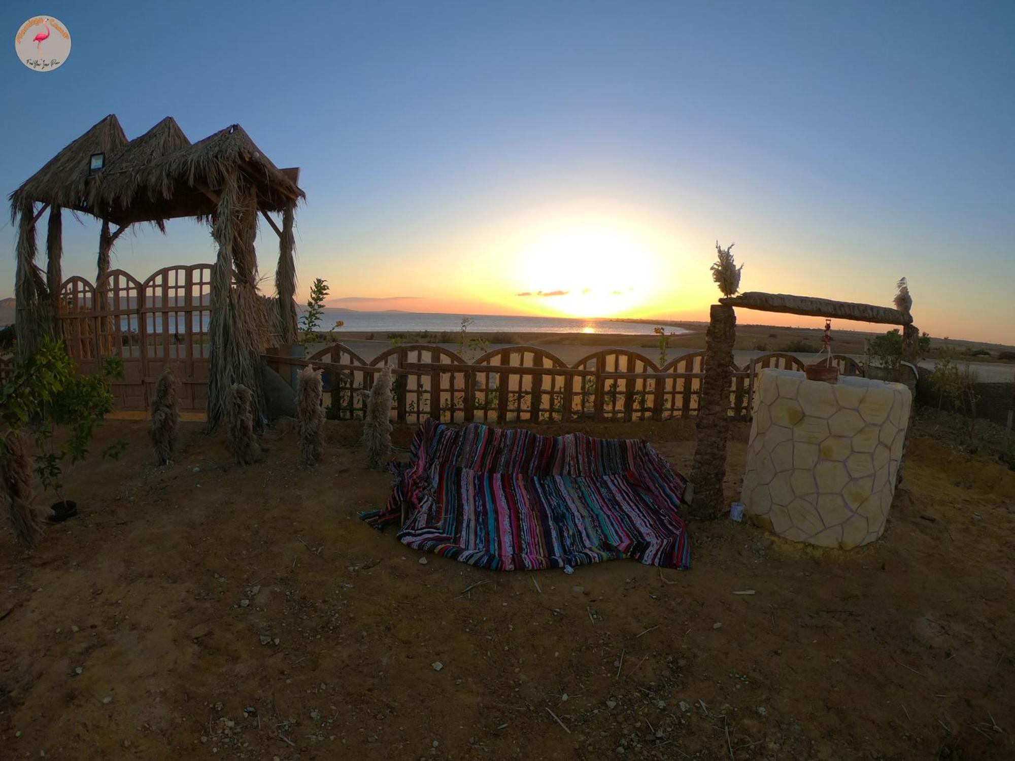 flamingo camp