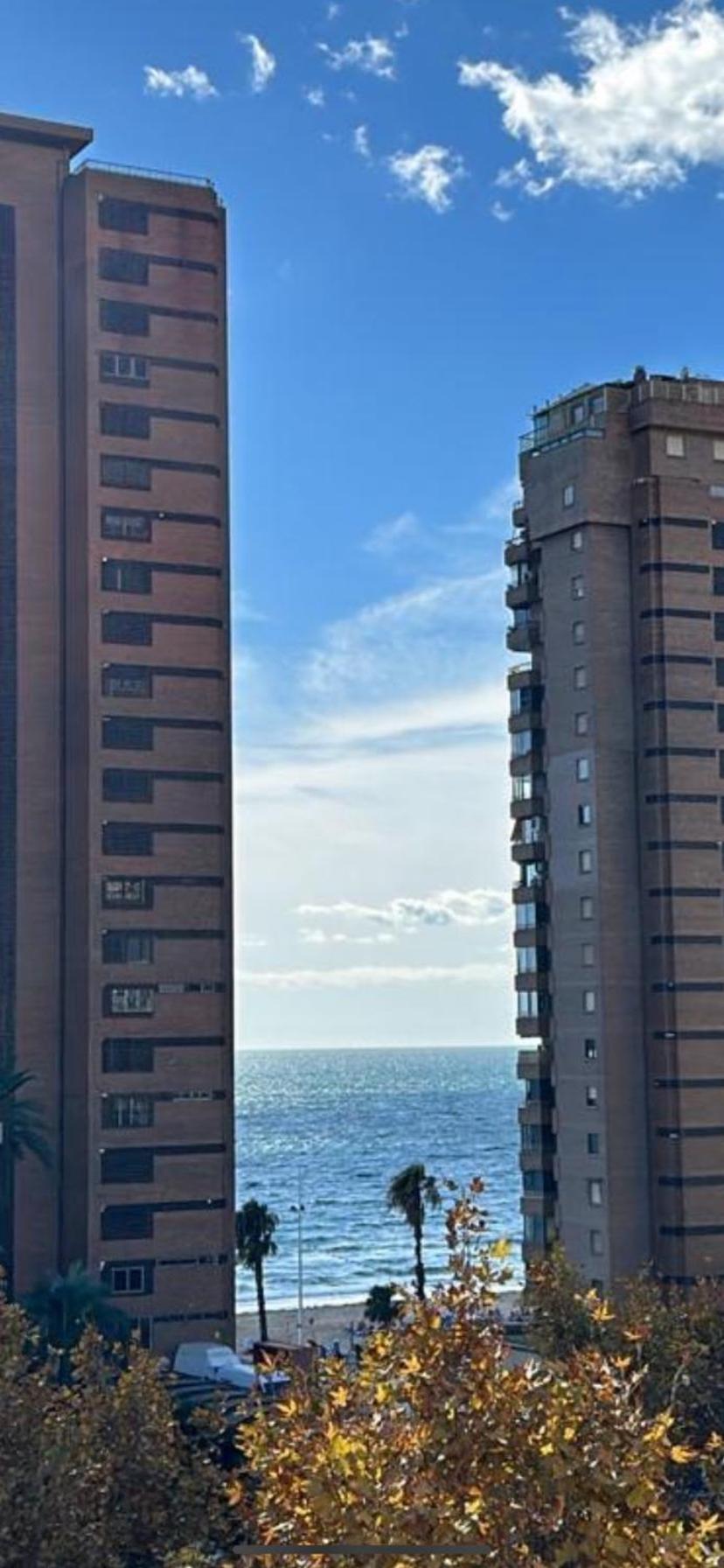 Apartamento las OLAS playa de levante