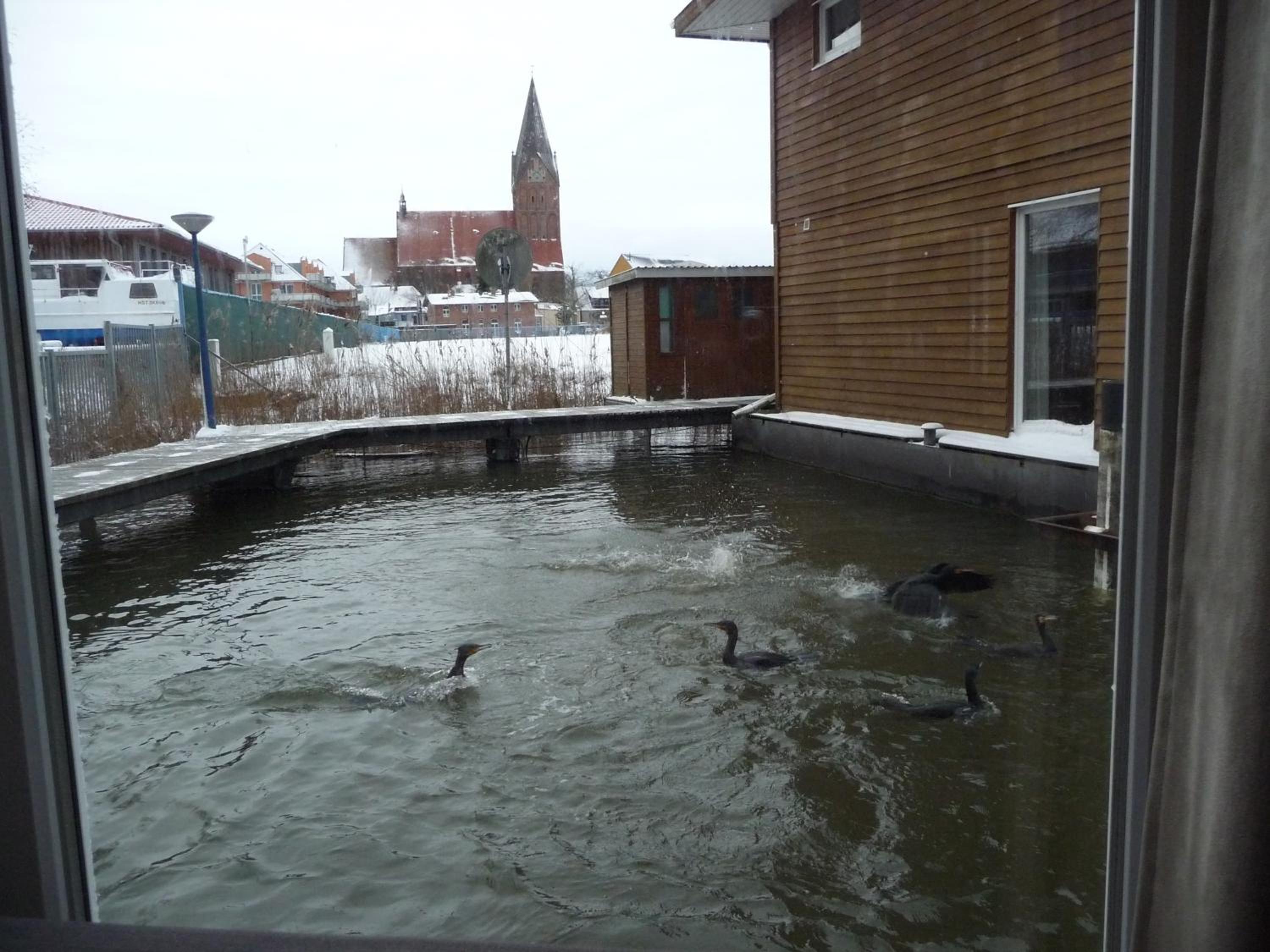 FLOATING HOUSES -