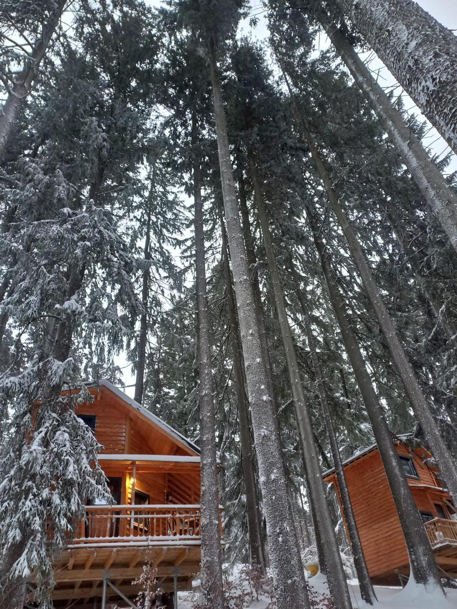 Chalet Hay Huy view 4