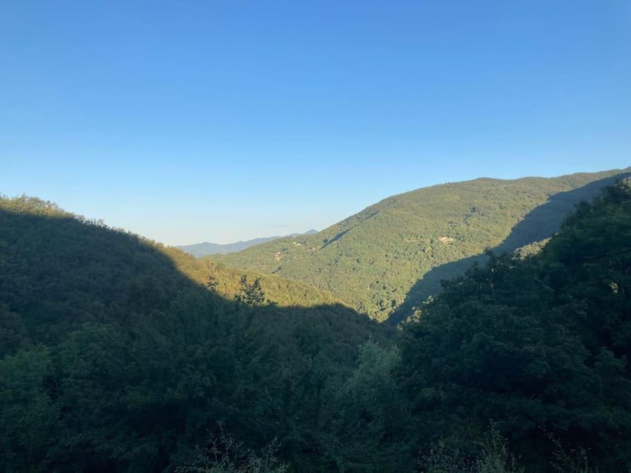 Villa Costanza