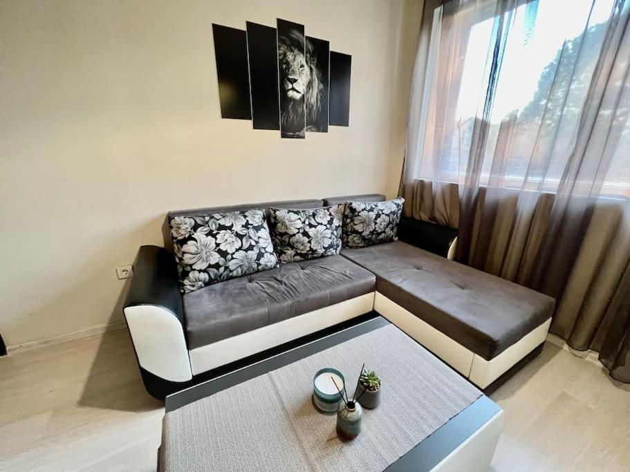 Sof apartment’s