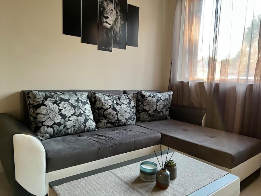Sof apartment’s