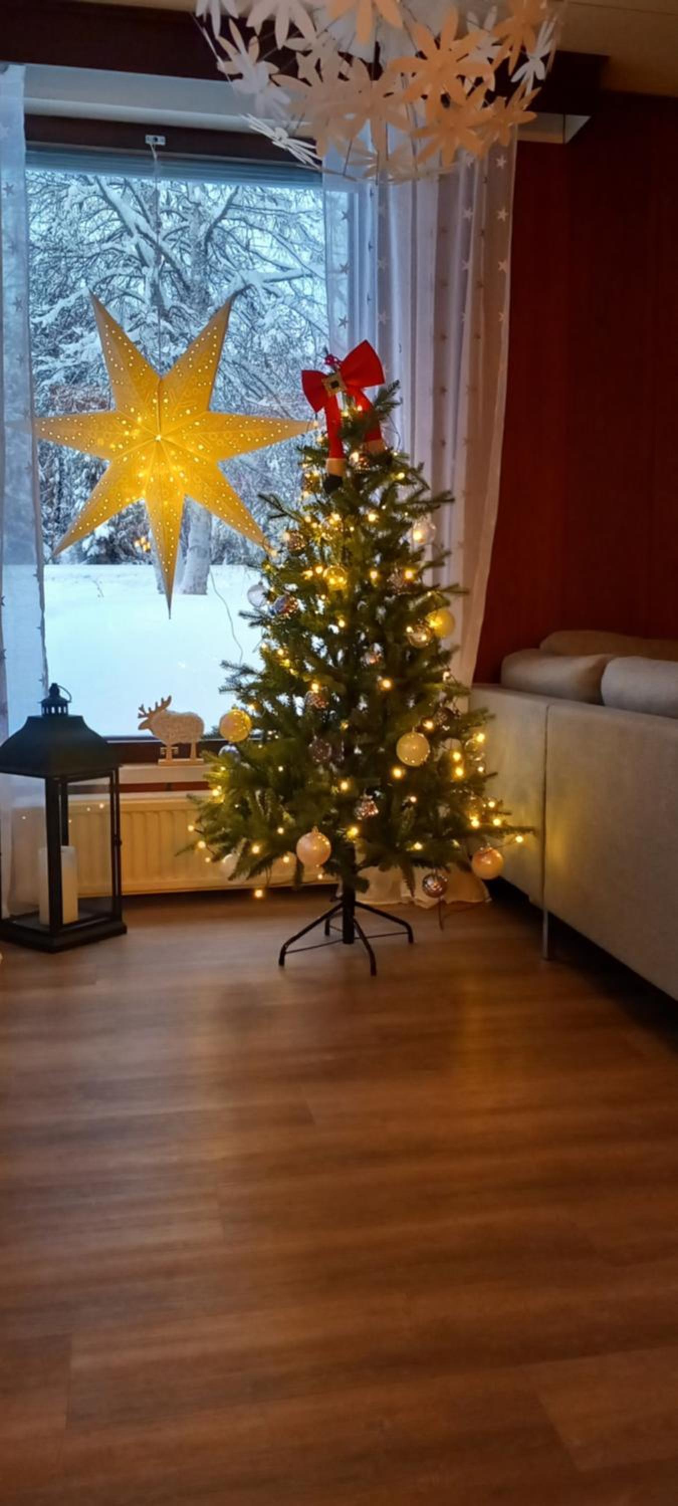 Magic lapland villa