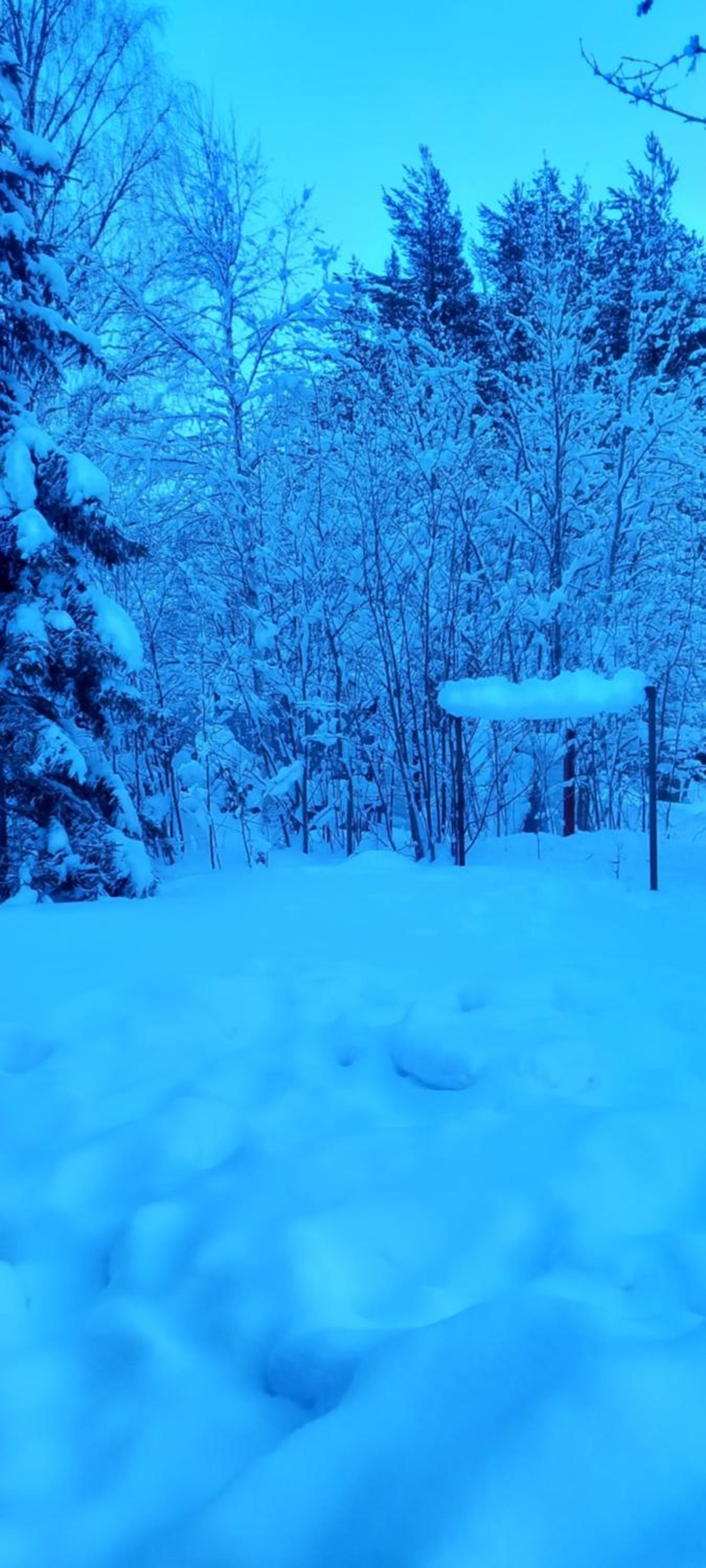 Magic lapland villa