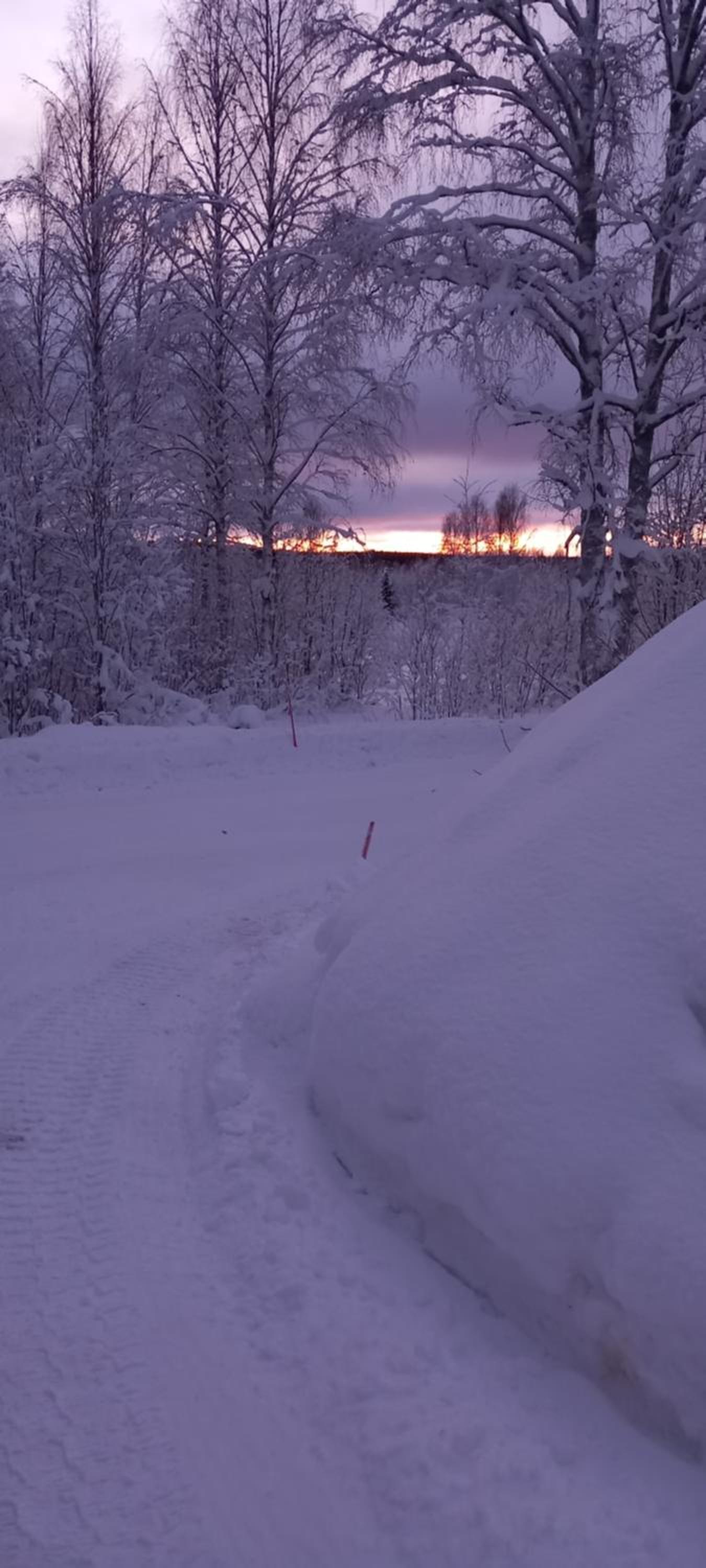 Magic lapland villa
