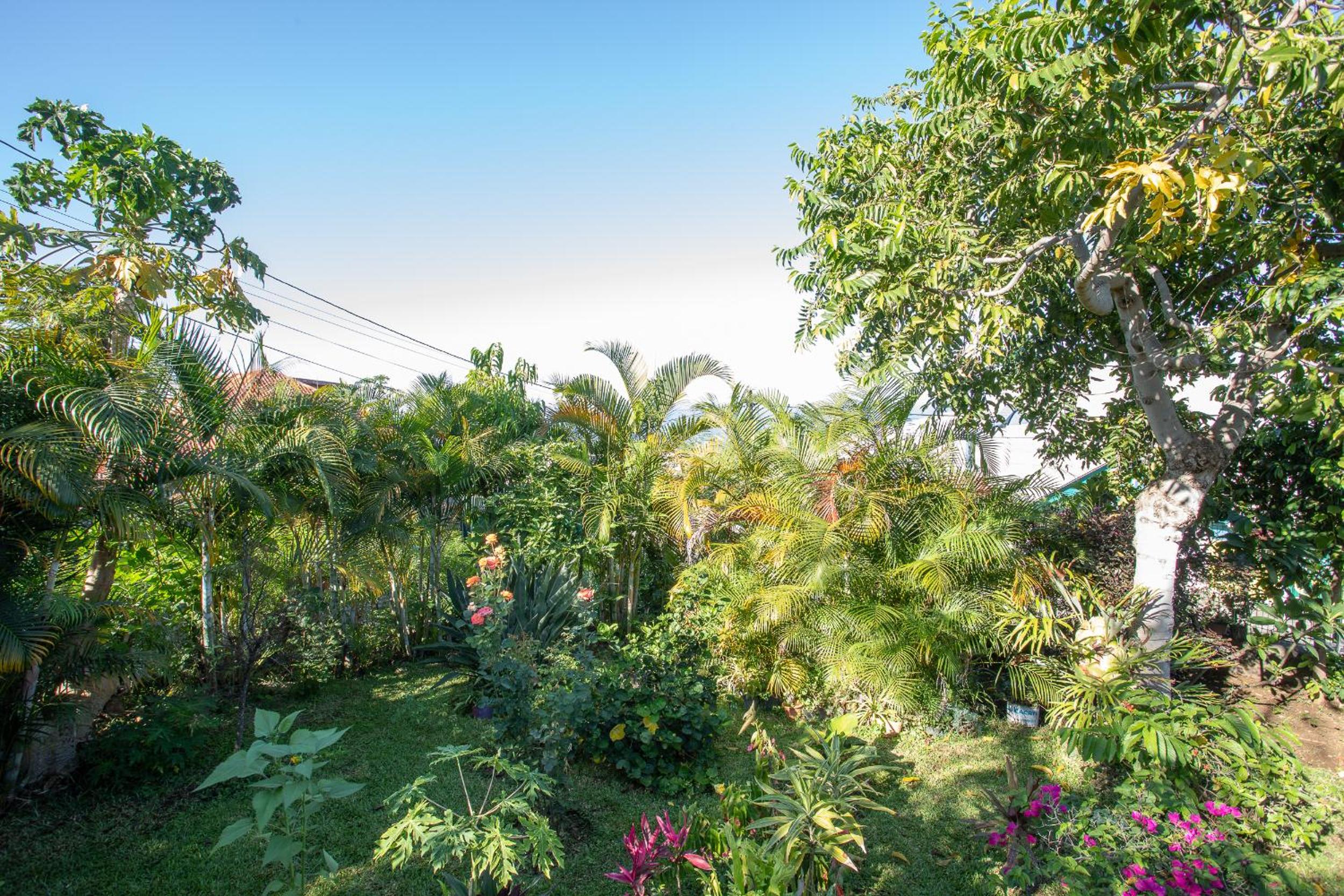 Leu Jardin