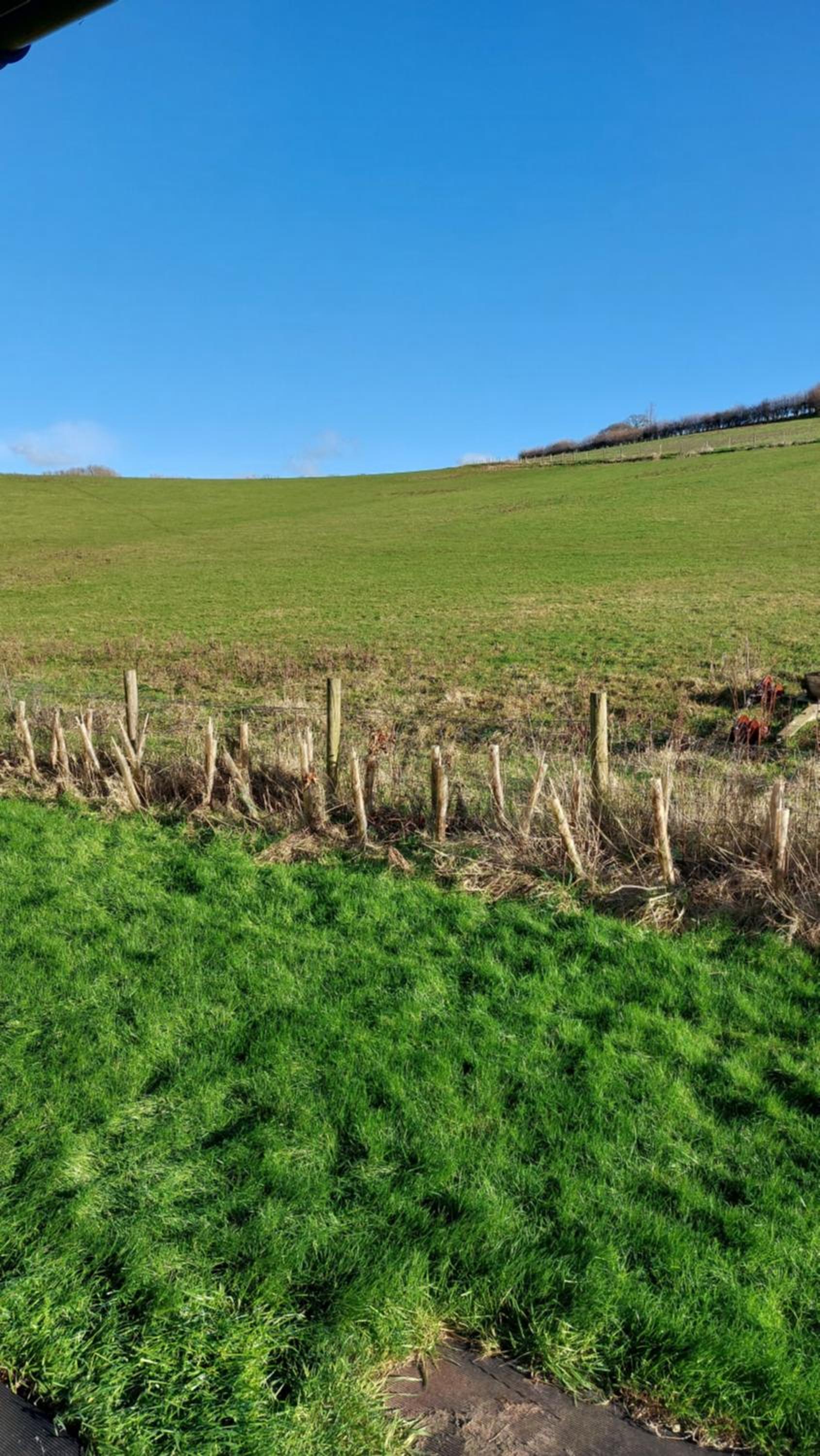 Farm lodge view 2