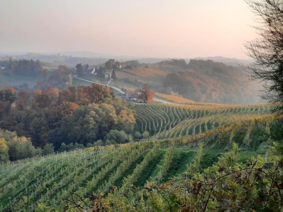 Wine & Art Lodge Jeruzalem view 2