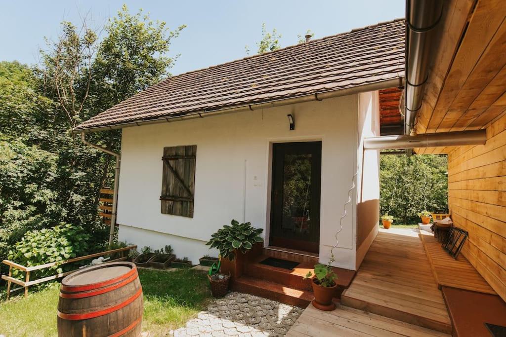 Wine & Art Lodge Jeruzalem view 4