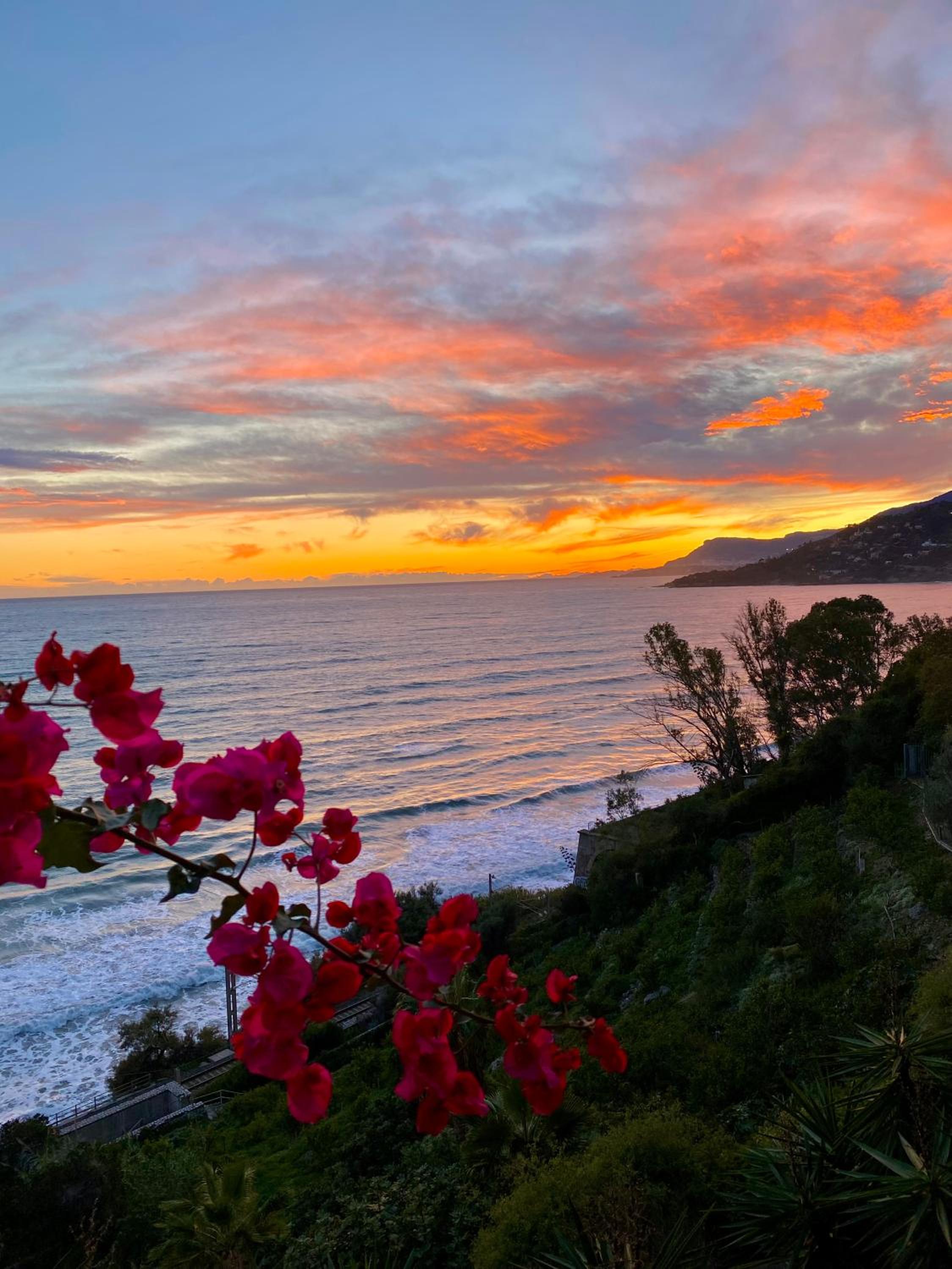 Botanic Garden Apartment Calandre Beach Ventimiglia