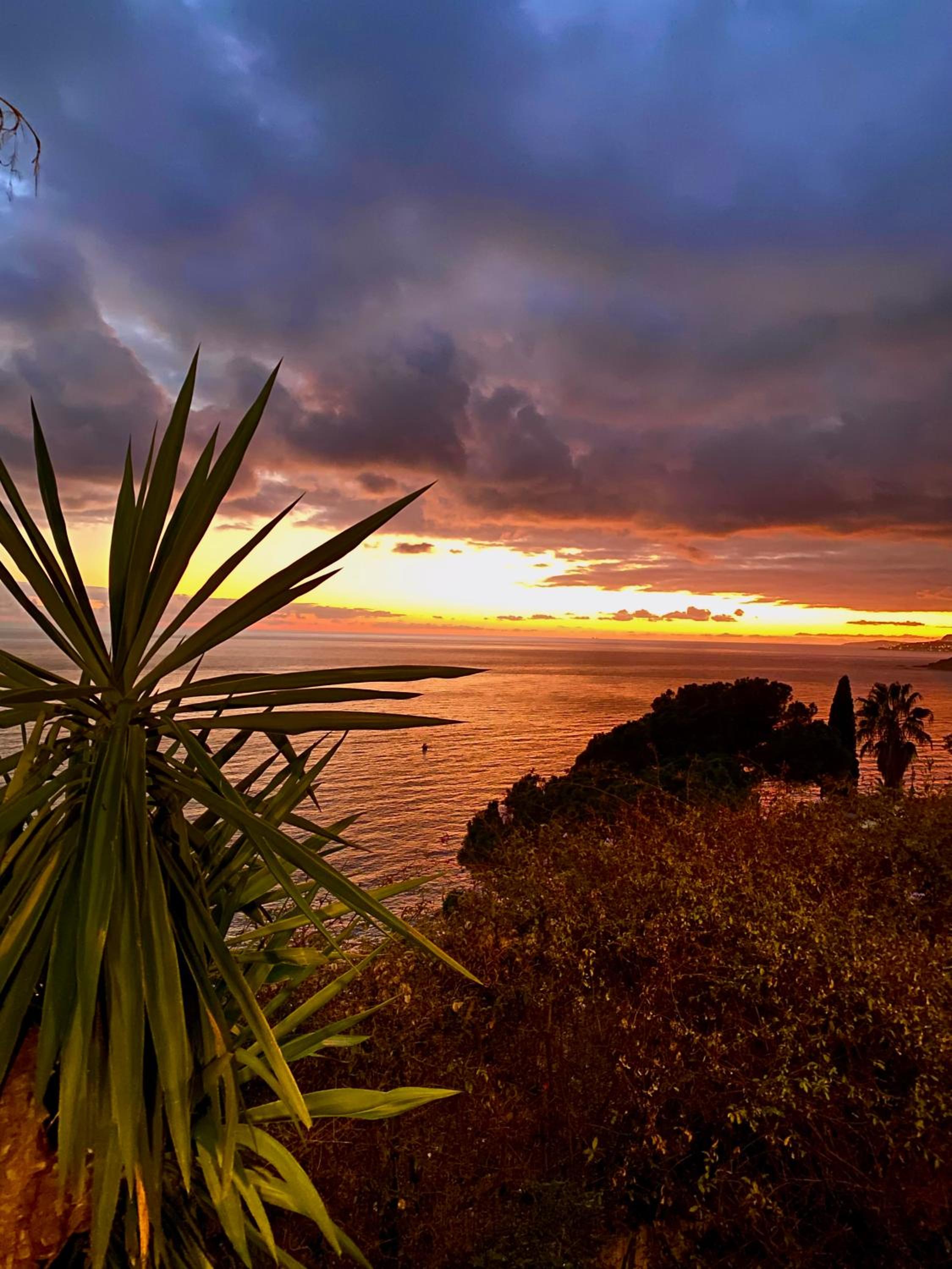 Botanic Garden Apartment Calandre Beach Ventimiglia