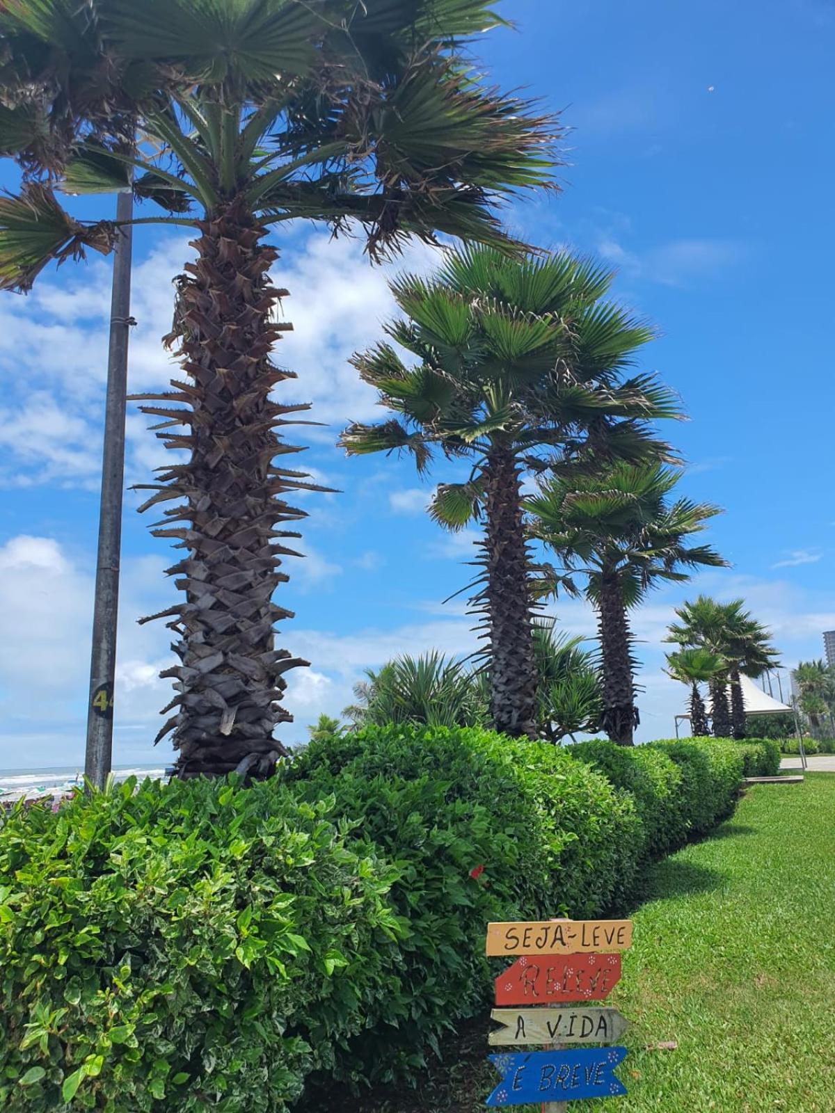 Apartamento Flamingo Praia Grande
