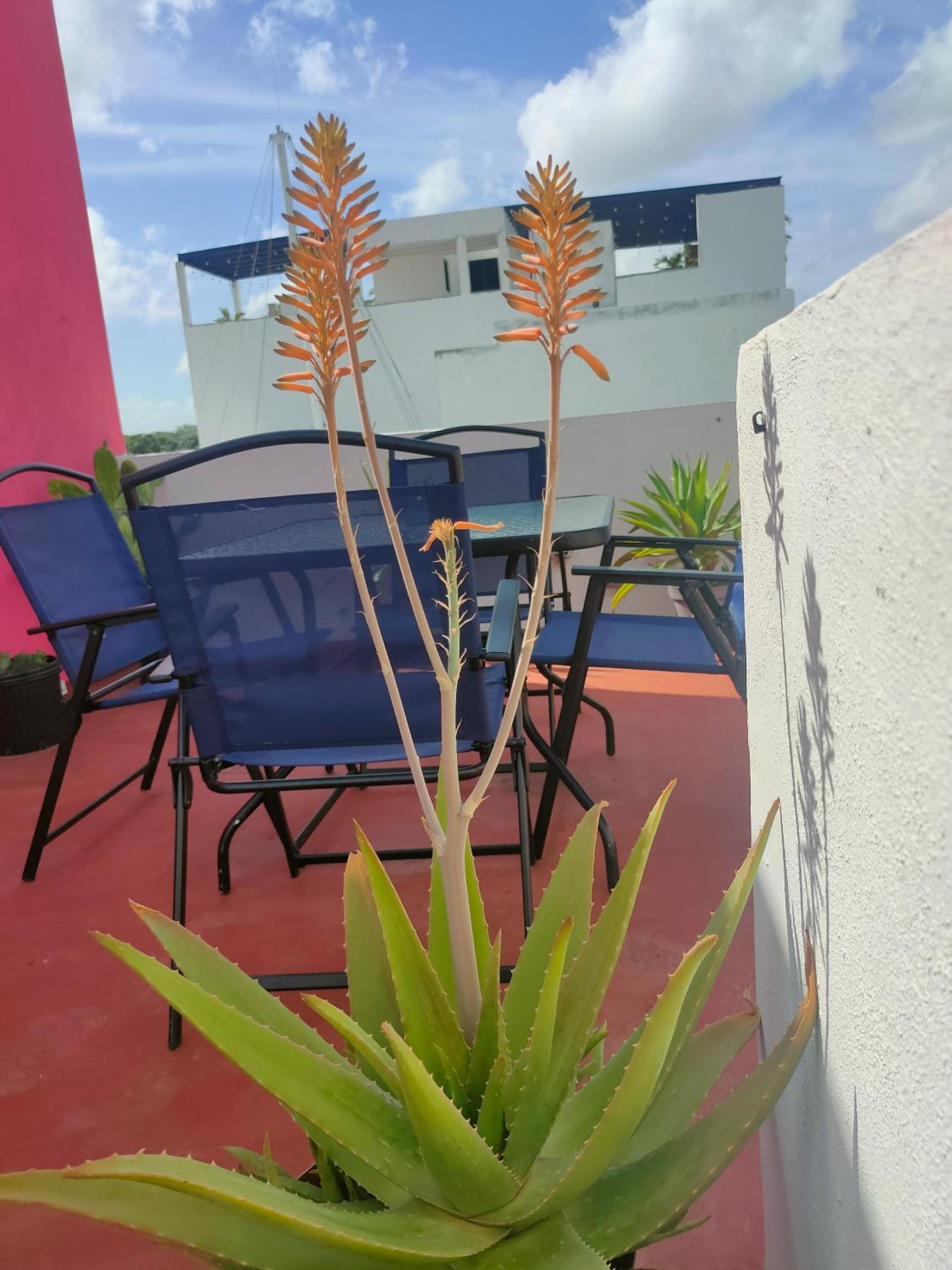 CASA CORAZA