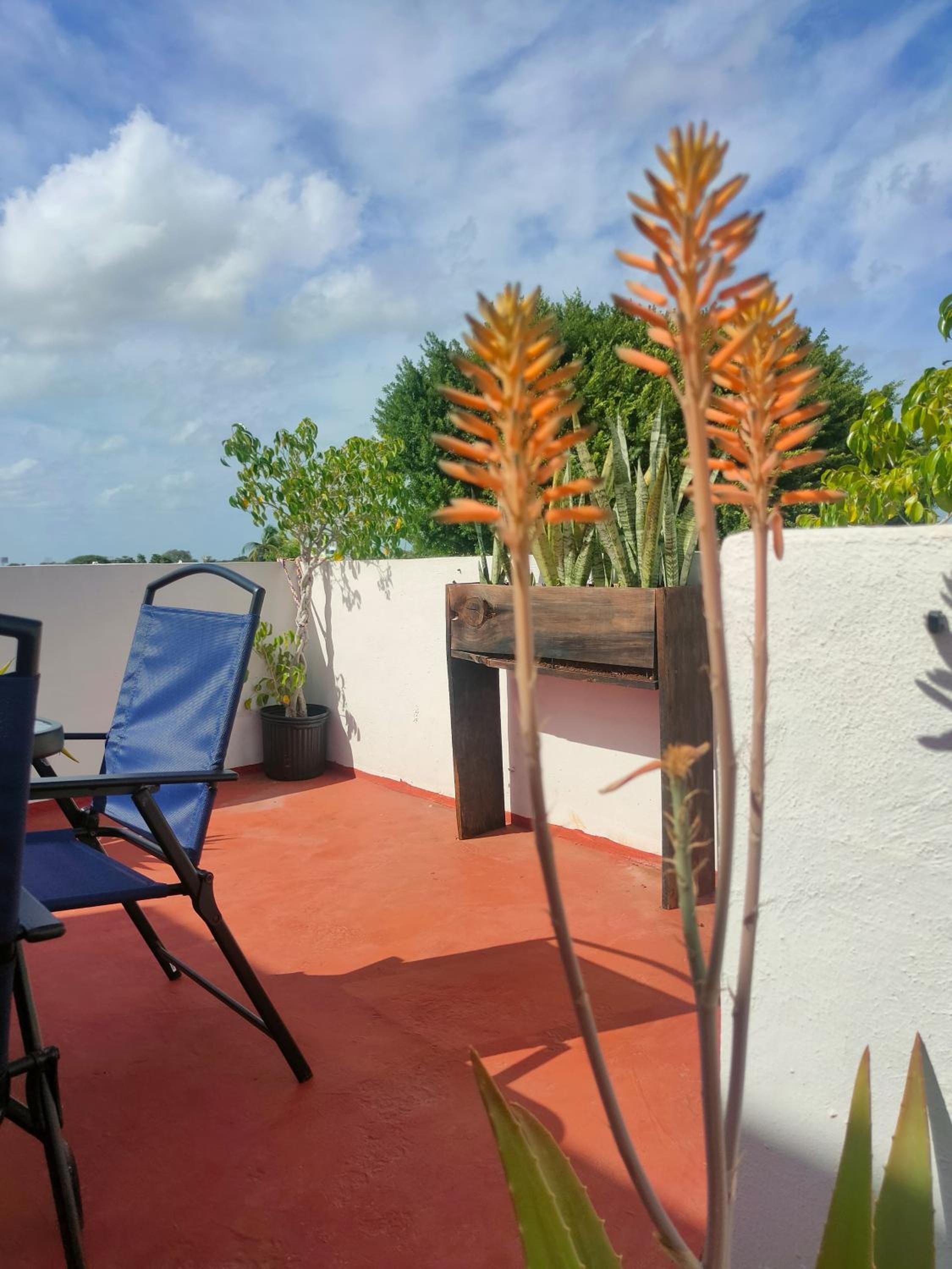 CASA CORAZA