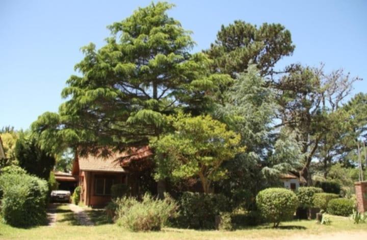 Comodo Chalet en Barrio Norte
