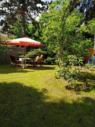 Town-Villa, Apartment, living room with big Sofa bed , 2 bedroom, 1kitchen, 1bathroom, 1 office, 1 garden