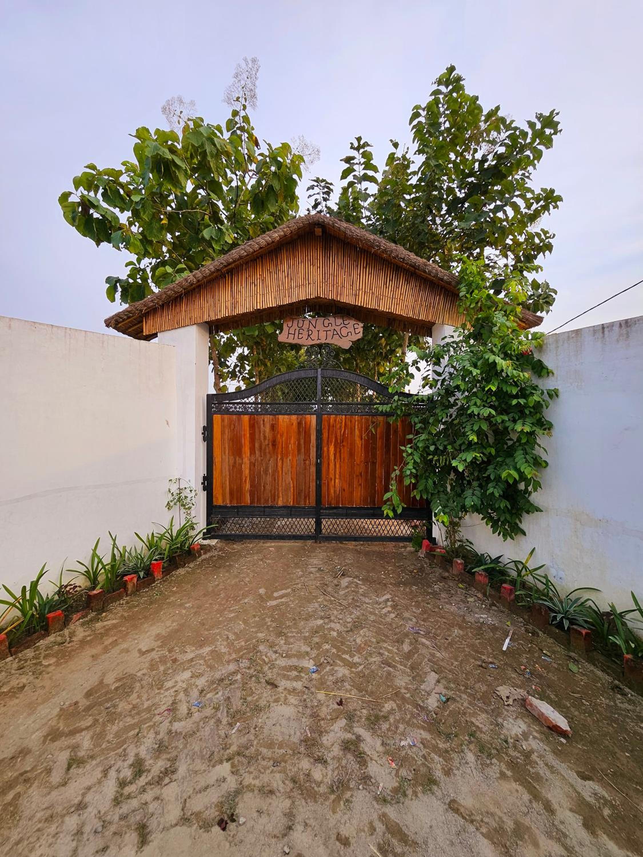 Jungle Heritage