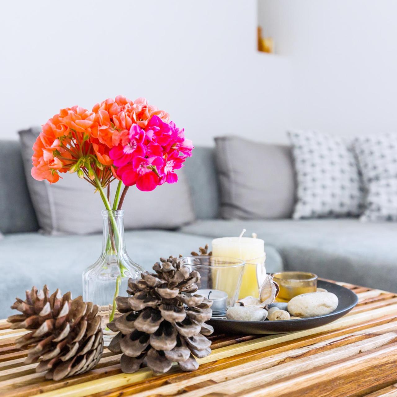 The Cute House photo 2