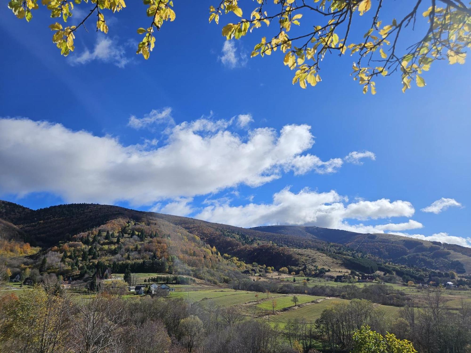 Planinska kuća Ruža