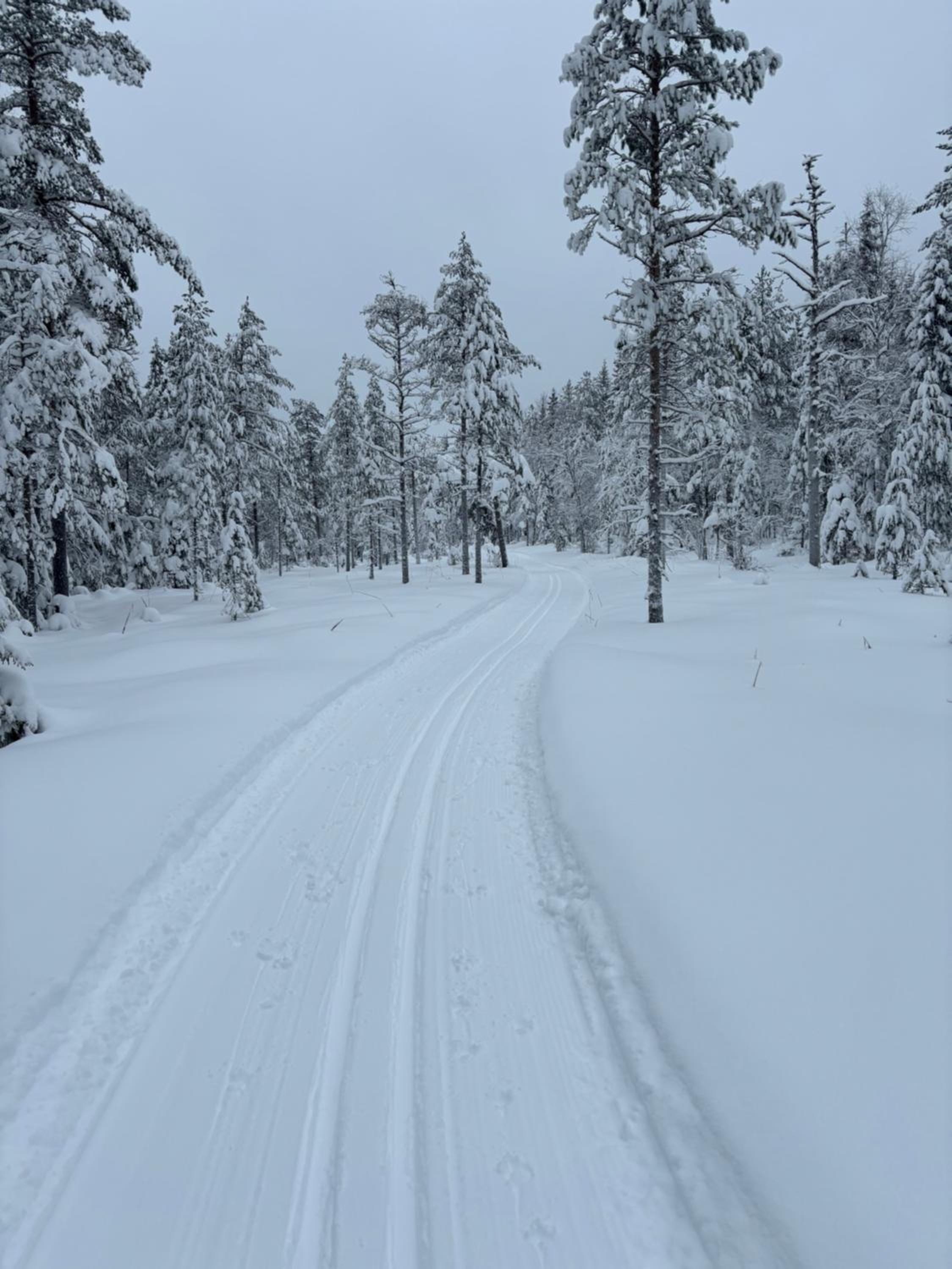 Rämsbyns Fritidsområde - Den perfekta platsen för avkoppling view 3