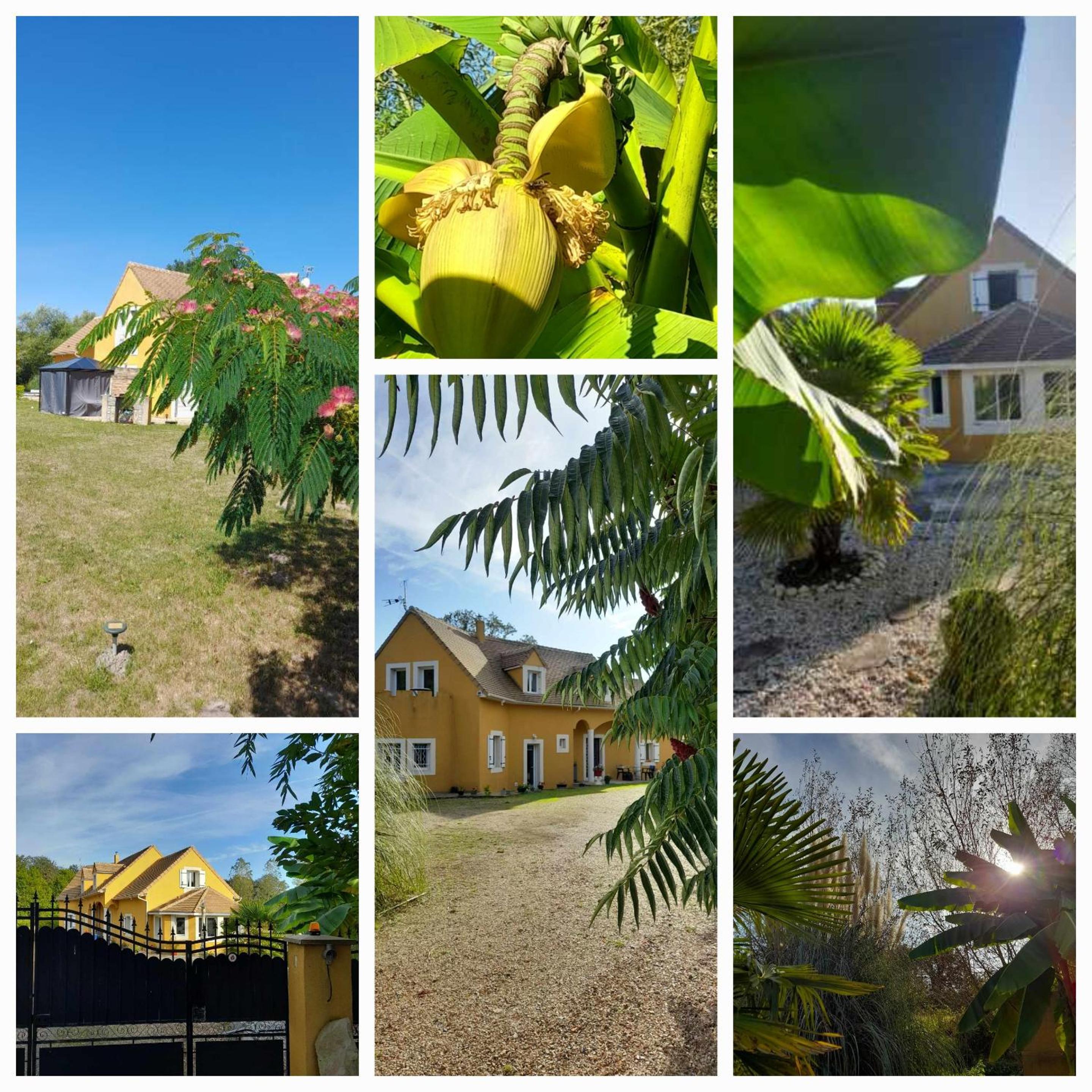 Villa suzana view 2