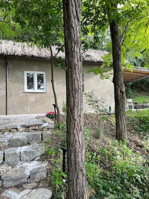 Eco-Chic Retreat: Countryside Oasis Near Florence view 2