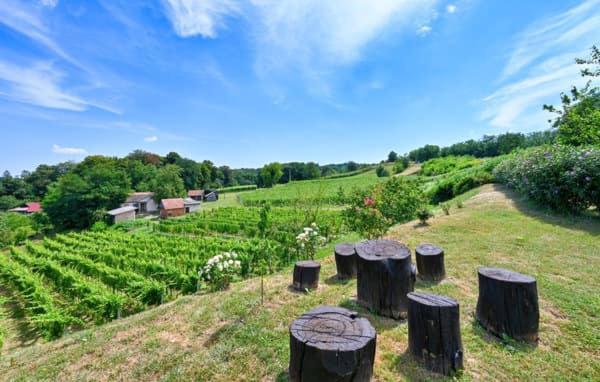 STRUČIĆ WINERY ESTATE