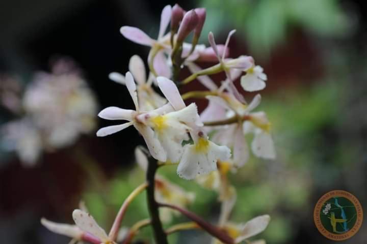 Photo 50