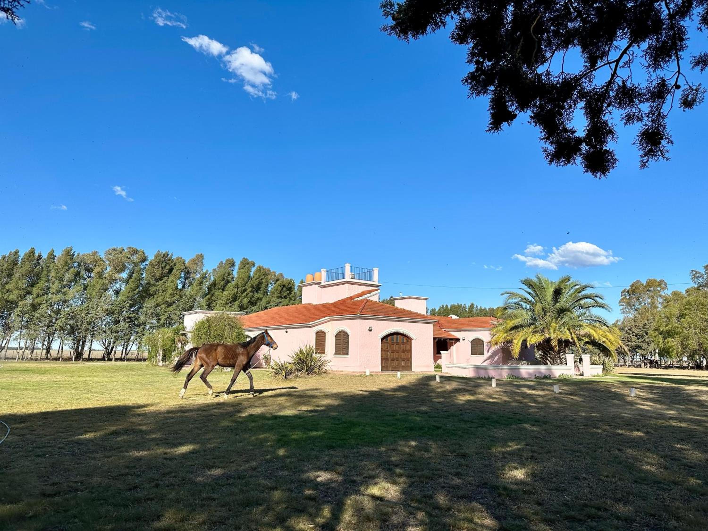 Casaquinta Haras El Tropicano