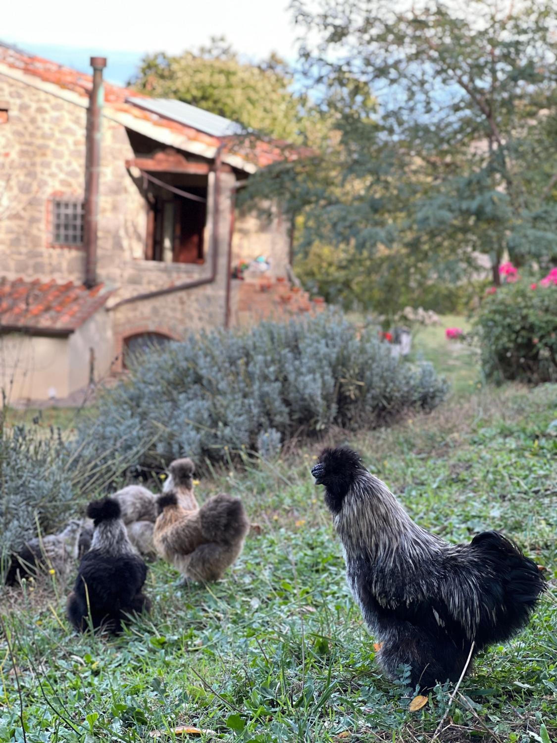 B&B Podere Legnotorto