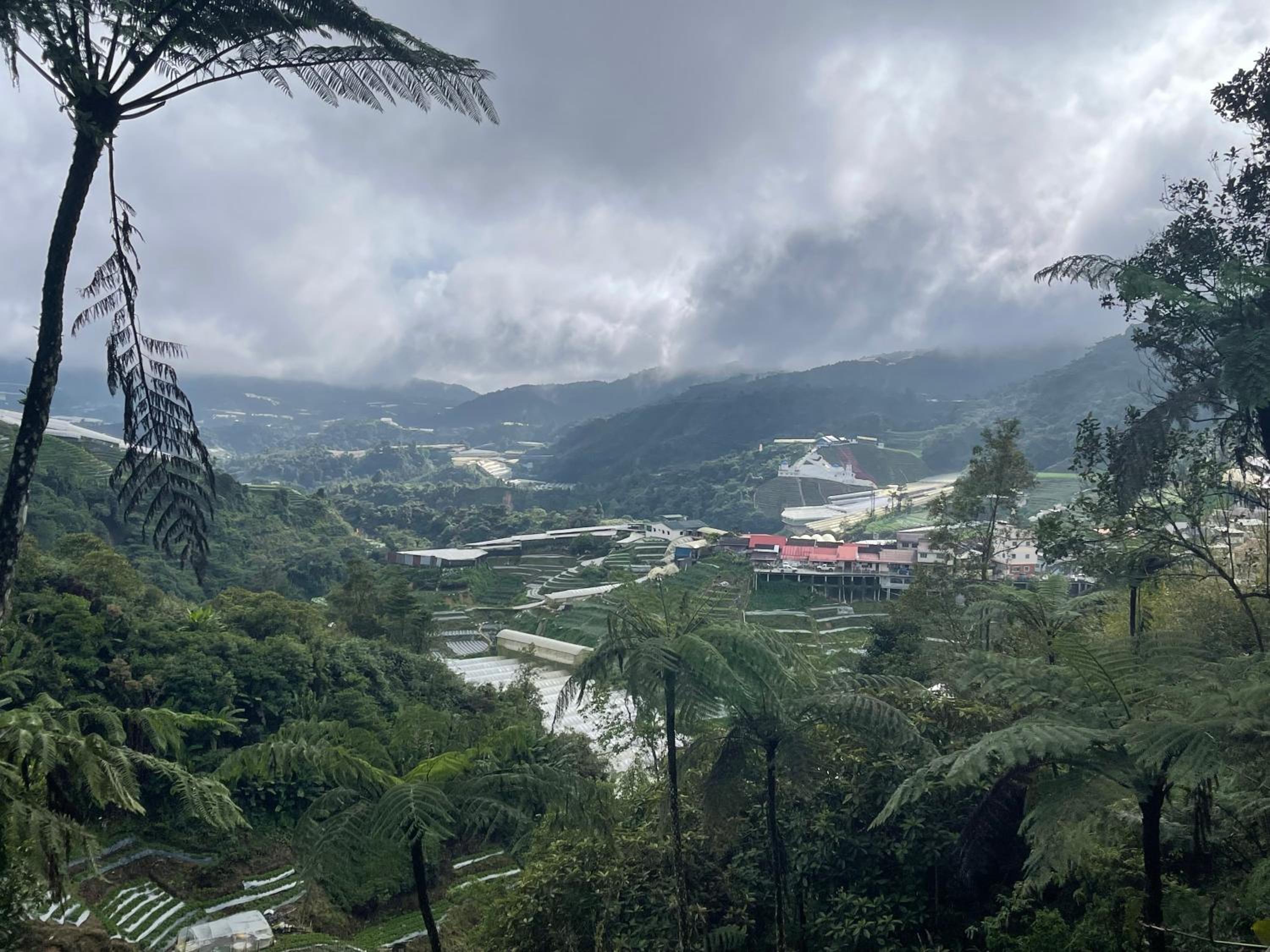 EquatorialHillResort SunsetView 10Min Popular FARM view 5