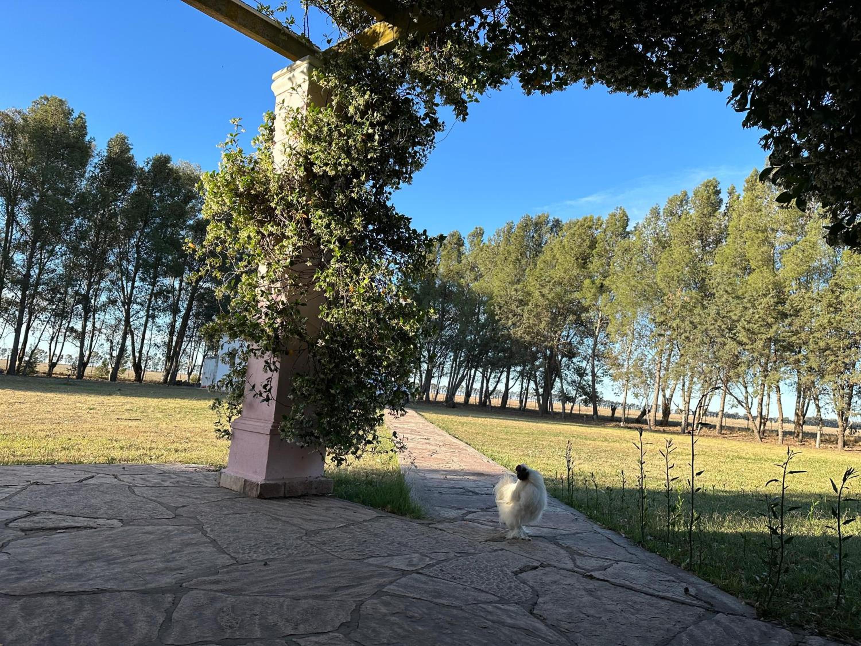 Casaquinta Haras El Tropicano